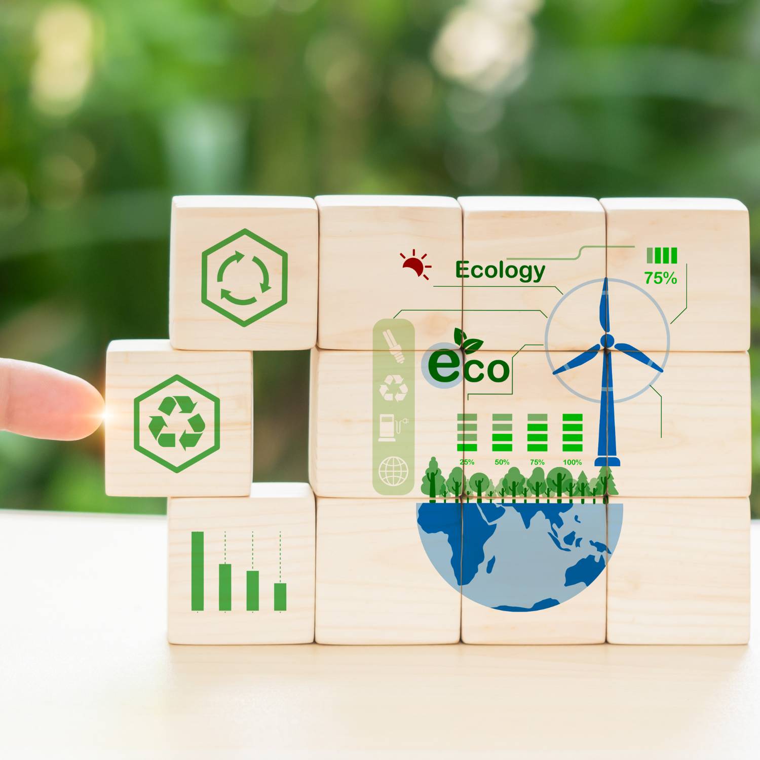 Voluntary Carbon Credit Offset